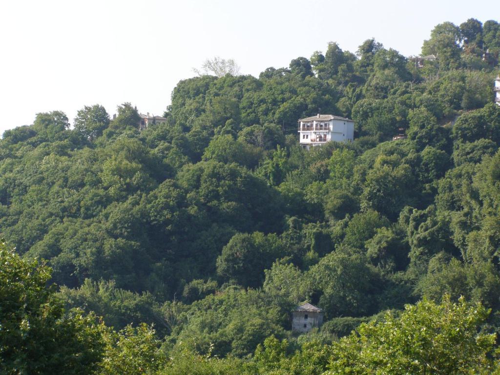 Hotel Tsagarada Bagian luar foto